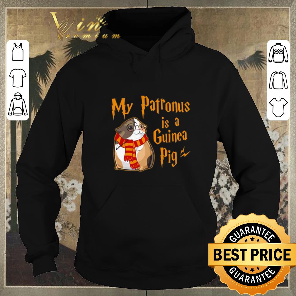 Awesome Harry Potter My patronus is a guinea pig shirt sweater 4 - Awesome Harry Potter My patronus is a guinea pig shirt sweater