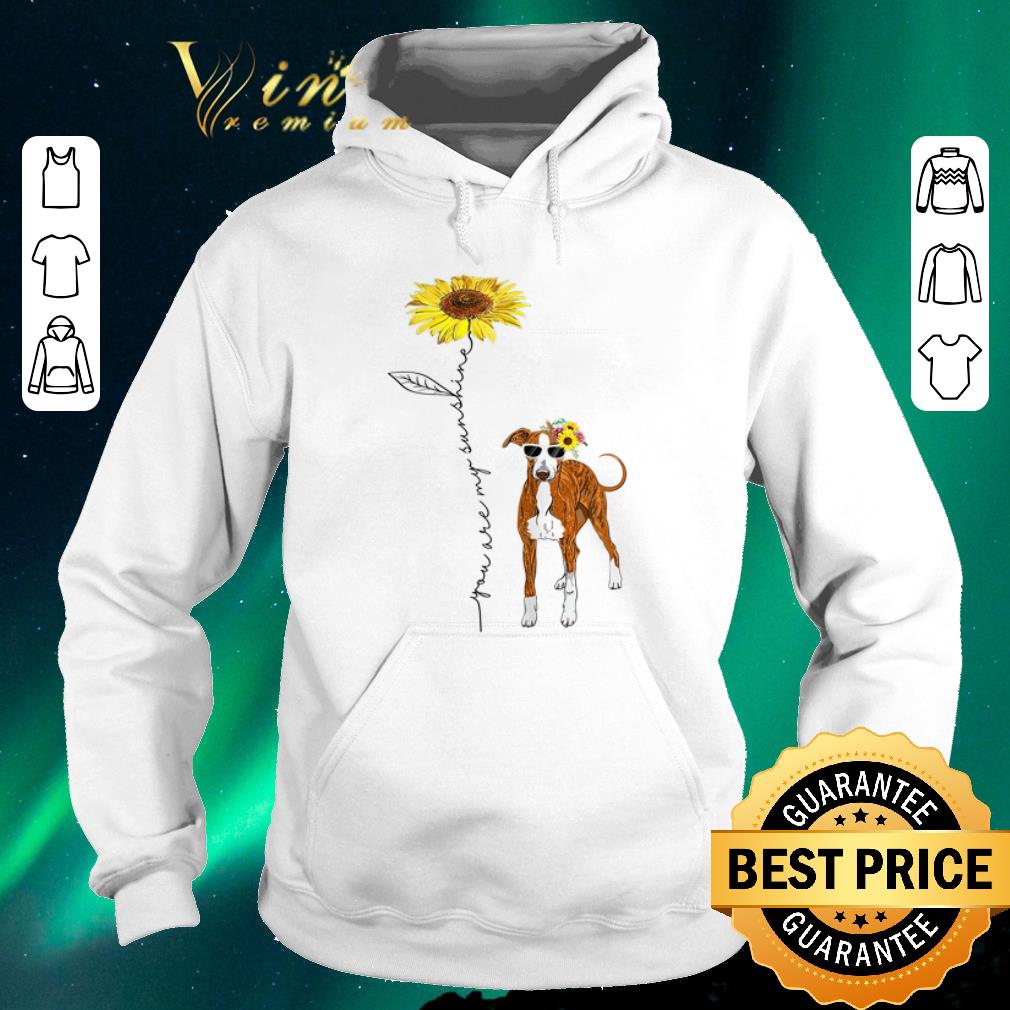 Official Italian Greyhound You Are My Sunshine Sunflower shirt sweater Official Italian Greyhound You Are My Sunshine Sunflower shirt sweater 4 - Official Italian Greyhound You Are My Sunshine Sunflower shirt sweater