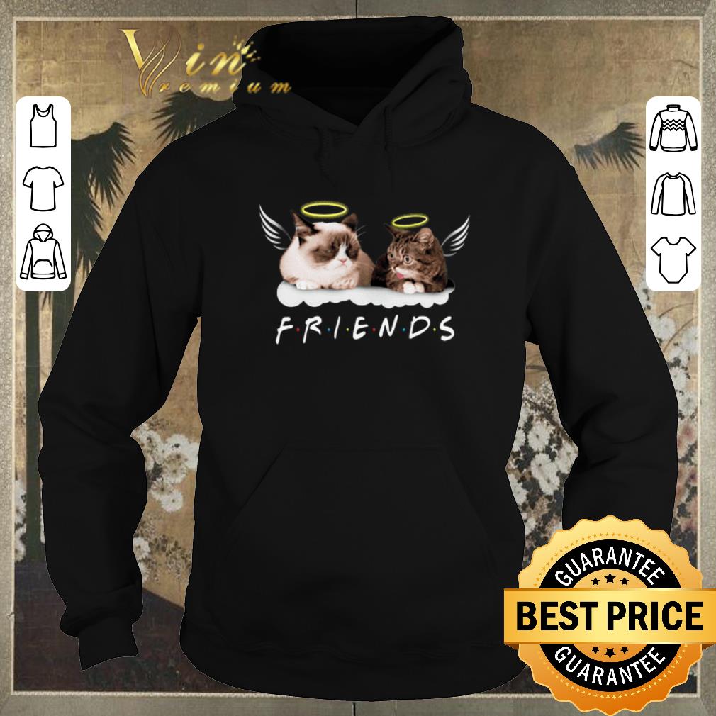 Official Rip Lil Bub Grumpy Friends shirt sweater 4 - Official Rip Lil Bub Grumpy Friends shirt sweater