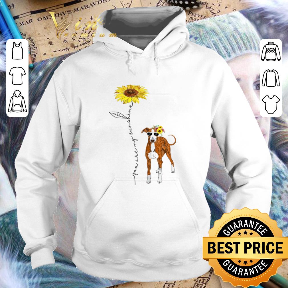 Pretty Italian Greyhound You Are My Sunshine Sunflower shirt 4 - Pretty Italian Greyhound You Are My Sunshine Sunflower shirt