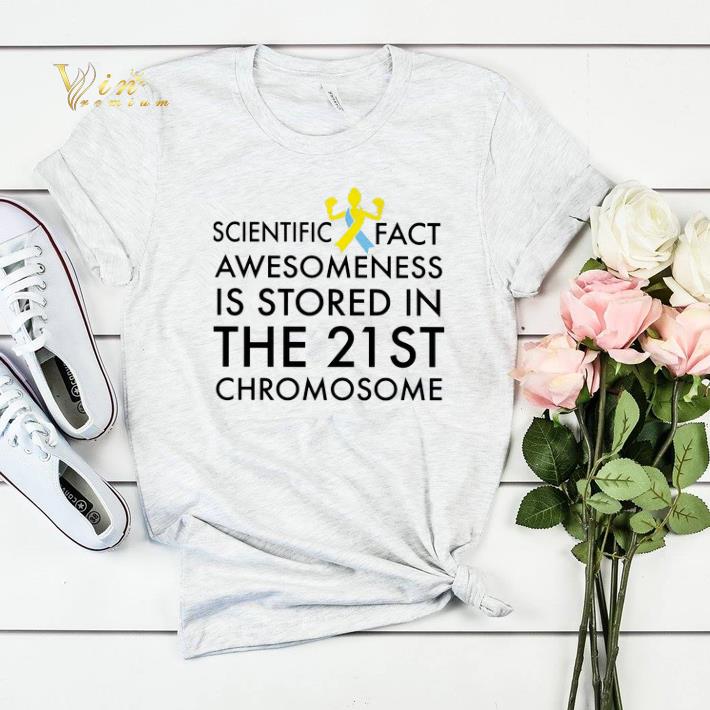 Scientific fact awesomeness is stored in the 21st Chromosome shirt sweater Scientific fact awesomeness is stored in the 21st Chromosome shirt sweater 4 - Scientific fact awesomeness is stored in the 21st Chromosome shirt sweater