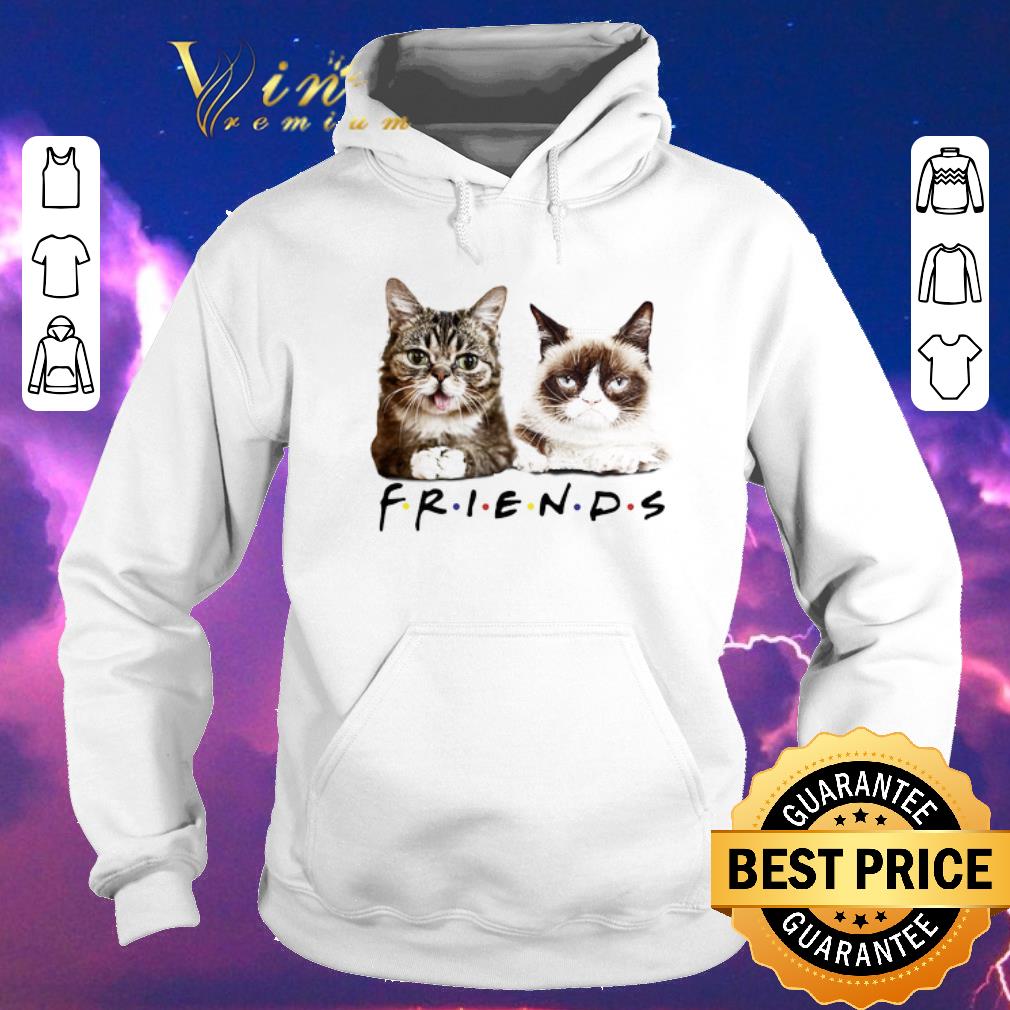 Top Lil Bub Friends Cats Grumpy shirt sweater 4 - Top Lil Bub Friends Cats Grumpy shirt sweater