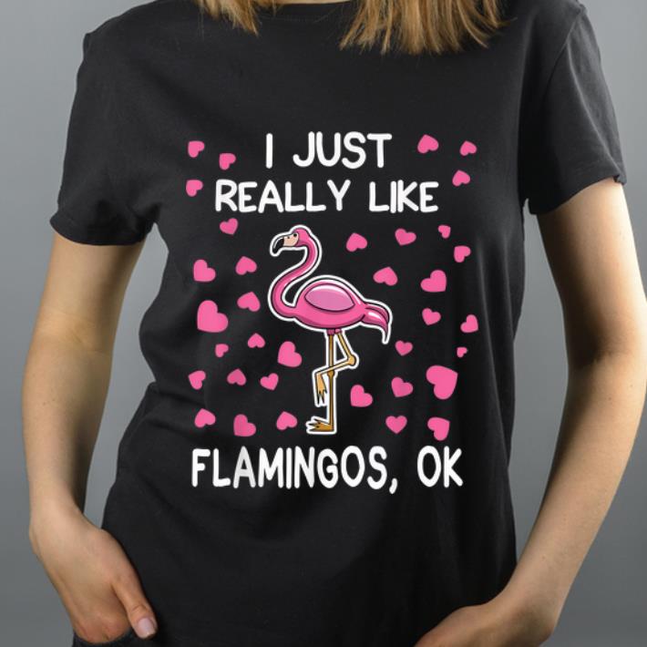 Awesome I Just Really Like Flamingos Ok Flamingo Lovers shirt 4 - Awesome I Just Really Like Flamingos, Ok - Flamingo Lovers shirt