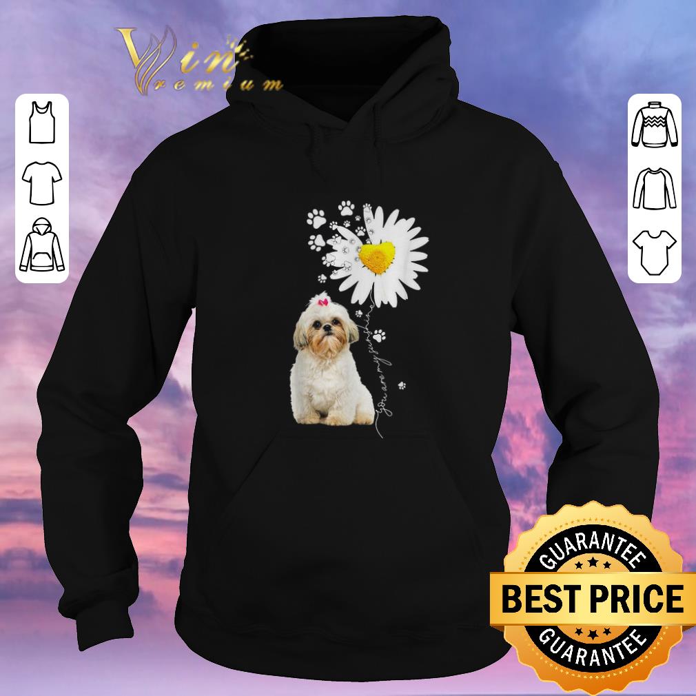Original Shih-poo you are my sunshine shirt sweater Original Shih poo you are my sunshine shirt sweater 4 - Original Shih-poo you are my sunshine shirt sweater