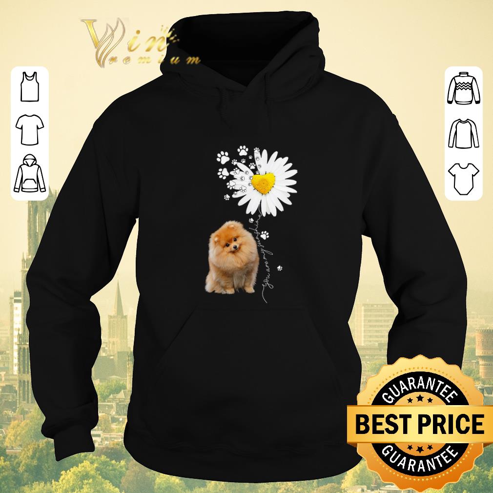 Premium Paw Pomeranian Daisy flower you are my sunshine shirt sweater Premium Paw Pomeranian Daisy flower you are my sunshine shirt sweater 4 - Premium Paw Pomeranian Daisy flower you are my sunshine shirt sweater