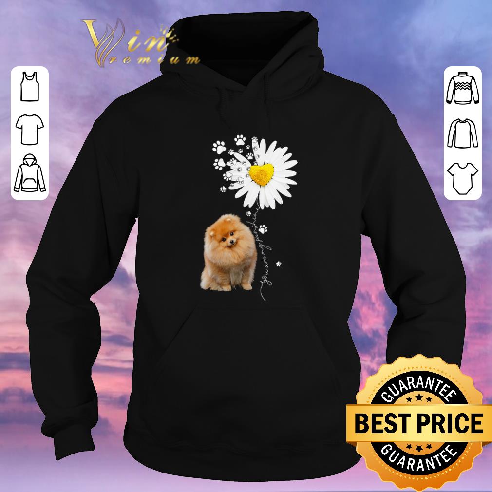 Top Paw Pomeranian Daisy flower you are my sunshine shirt sweater Top Paw Pomeranian Daisy flower you are my sunshine shirt sweater 4 - Top Paw Pomeranian Daisy flower you are my sunshine shirt sweater