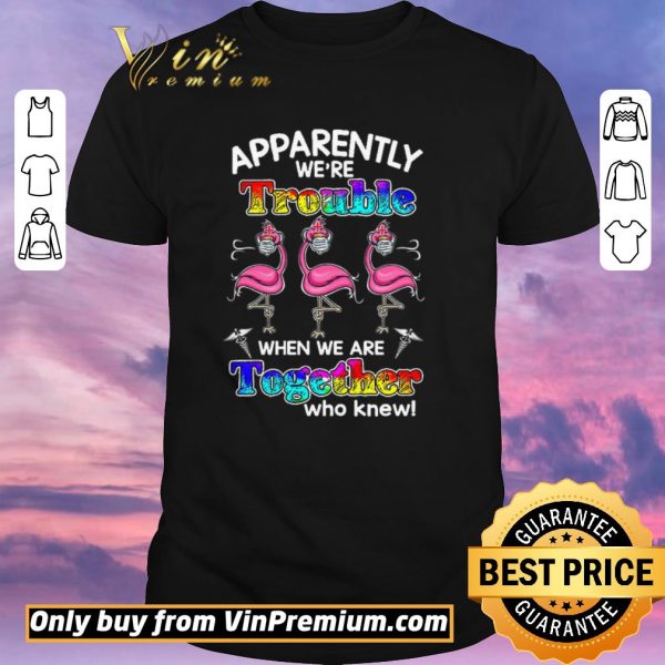 Top Flamingo Apparently We're Trouble When We Are Together Who Knew Coronavirus shirt sweater