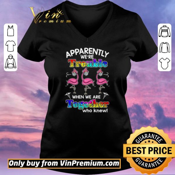 Top Flamingo Apparently We're Trouble When We Are Together Who Knew Coronavirus shirt sweater