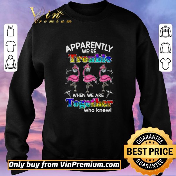 Top Flamingo Apparently We're Trouble When We Are Together Who Knew Coronavirus shirt sweater