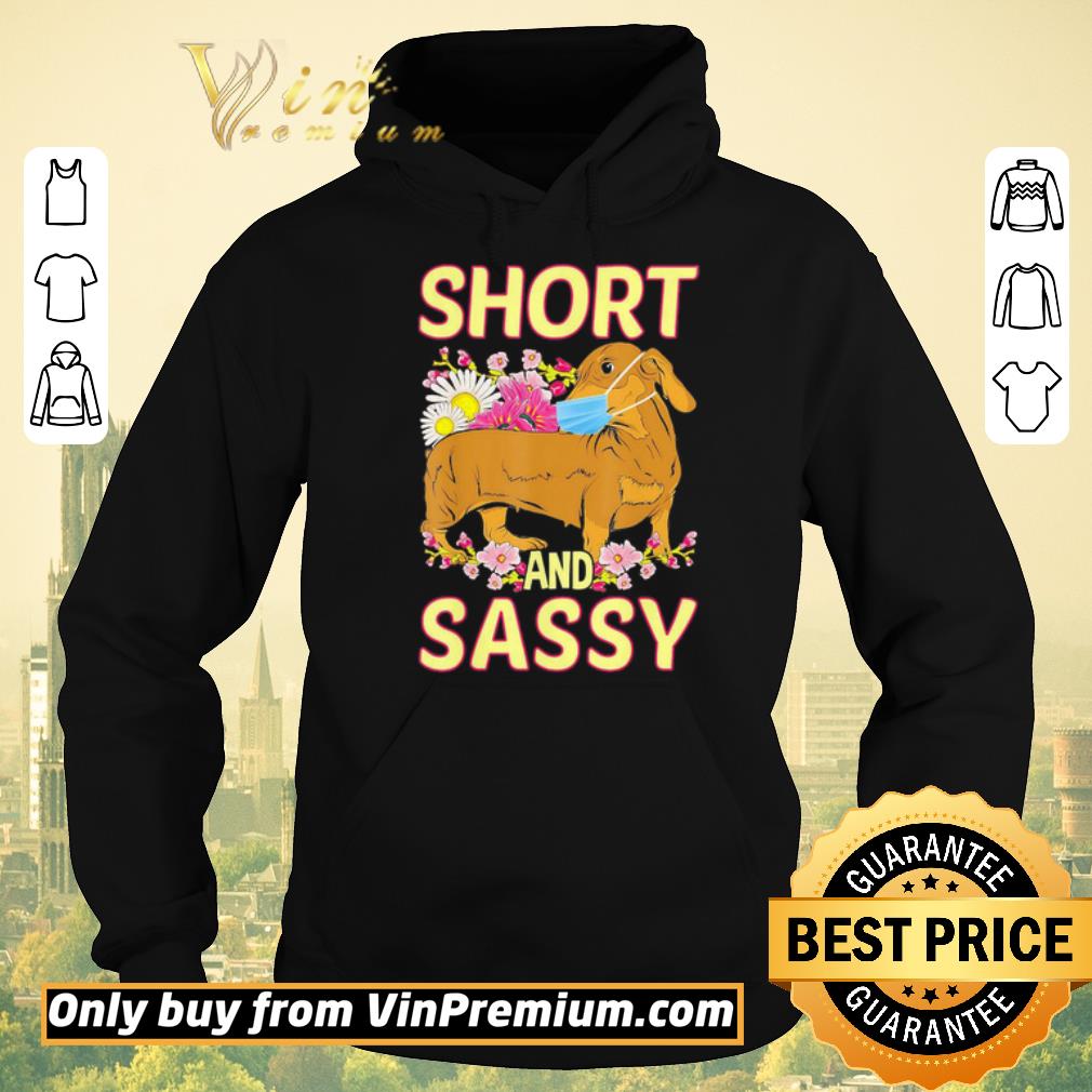 3e035ce9 top premium dachshund face mask short and sassy shirt sweater 4 - Top Premium Dachshund face mask short and sassy shirt sweater