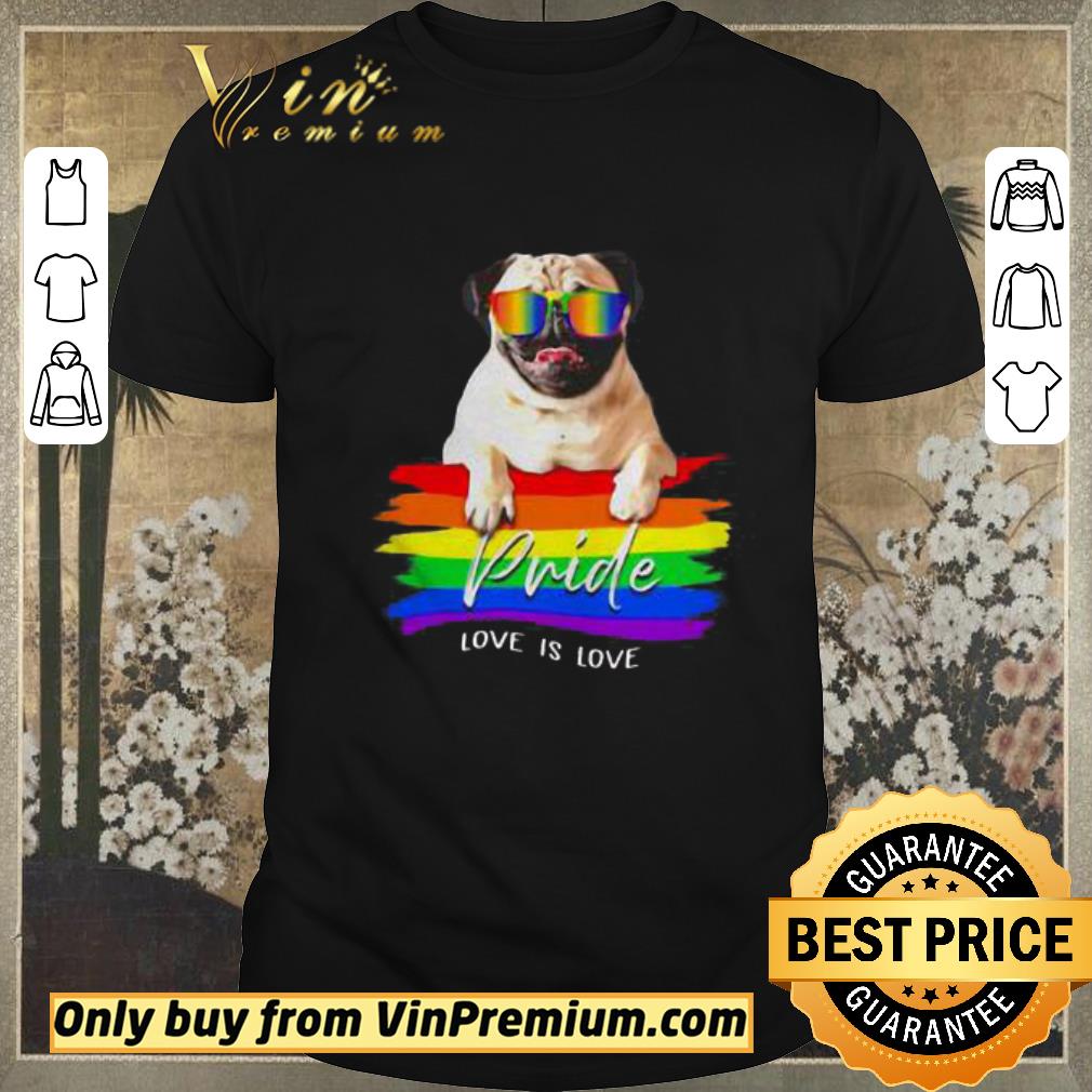Awesome Pug Pride love is love LGBT shirt sweater