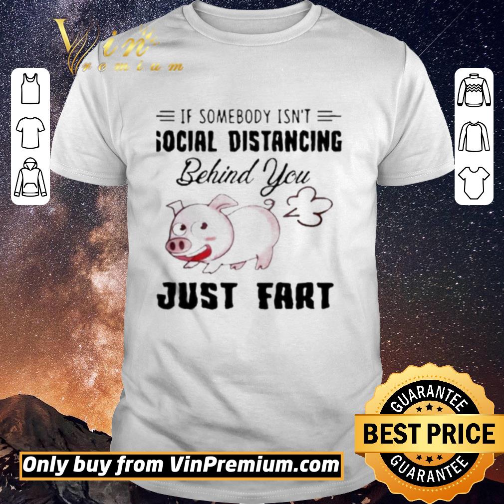 Hot If Somebody Isn’t Social Distancing Behind You Just Fart Pig Farm shirt sweater