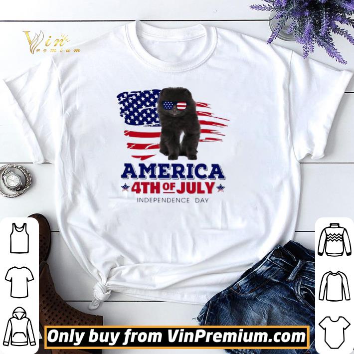 Tiny Black Pomeranian Spitz America 4th Of July Independence Day shirt sweater