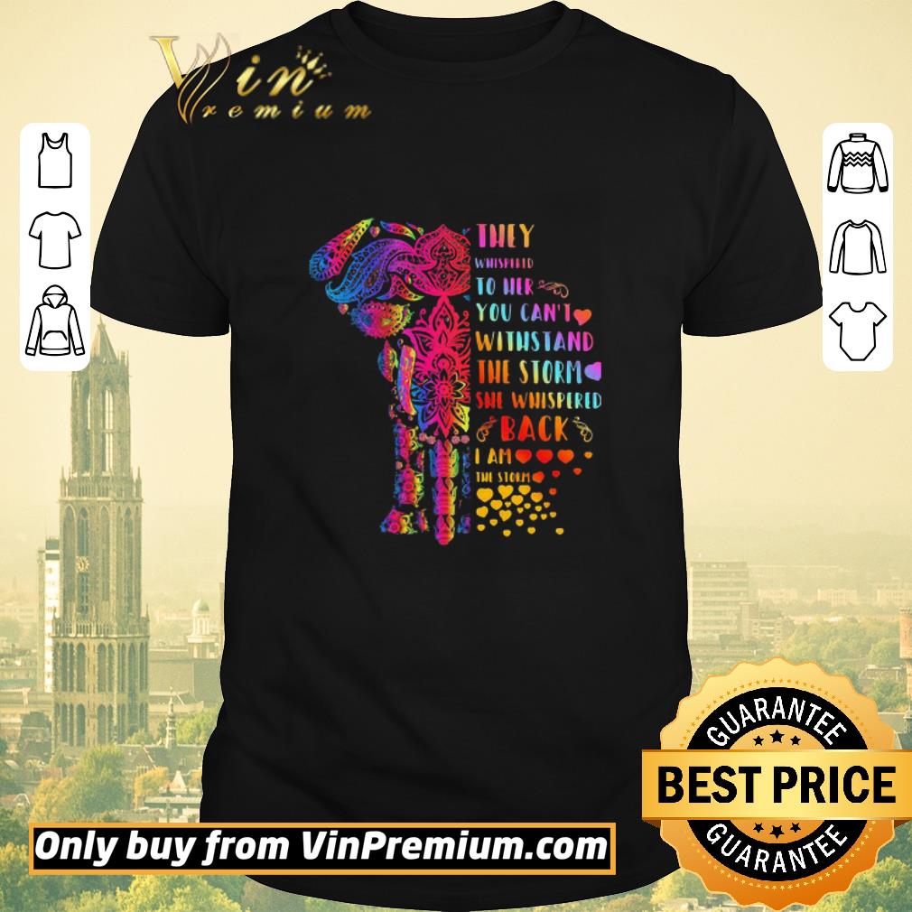 Funny They Whispered To Her You Can’t Withstand The Storm She Whispered Back I Am The Storm Elephant shirt sweater