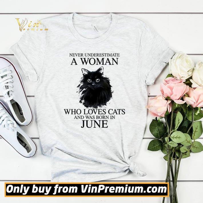934c8aa2 never underestimate a woman who loves cats and born in june shirt sweater 4 - Never Underestimate A Woman Who Loves Cats And Born In June shirt sweater