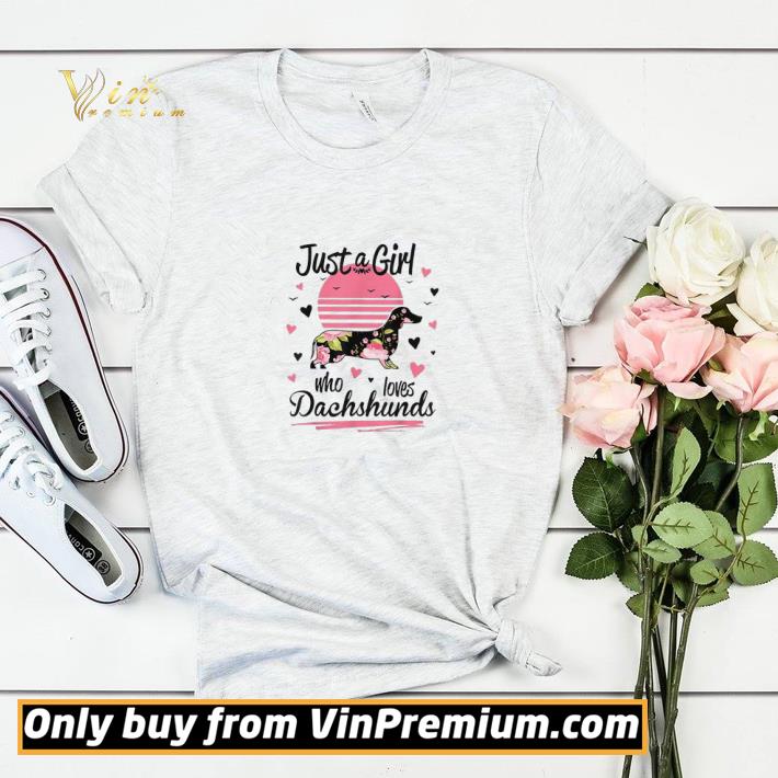 9c8cd0ef just a girl who loves dachshunds shirt sweater 4 - Just A Girl Who Loves Dachshunds shirt sweater