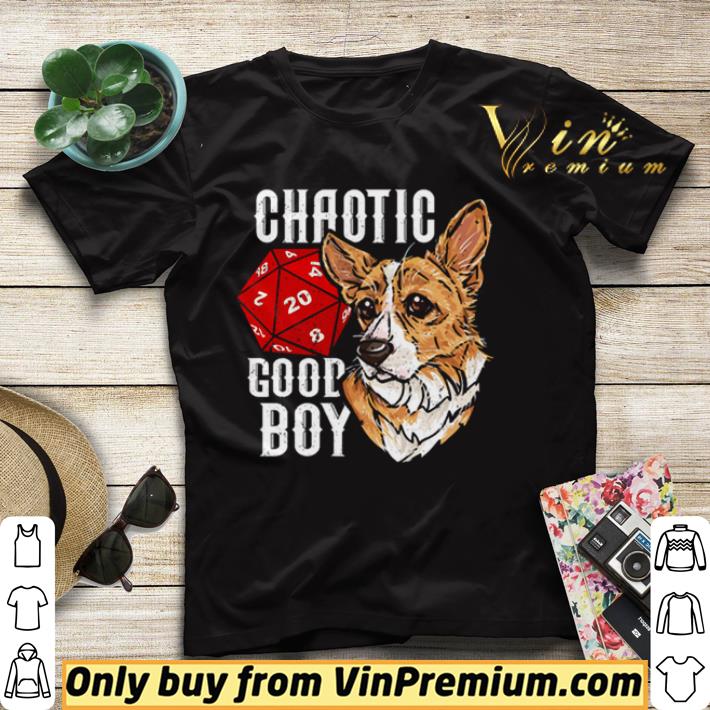 c529cabe chaotic good boy shirt sweater 4 - Chaotic good boy shirt sweater