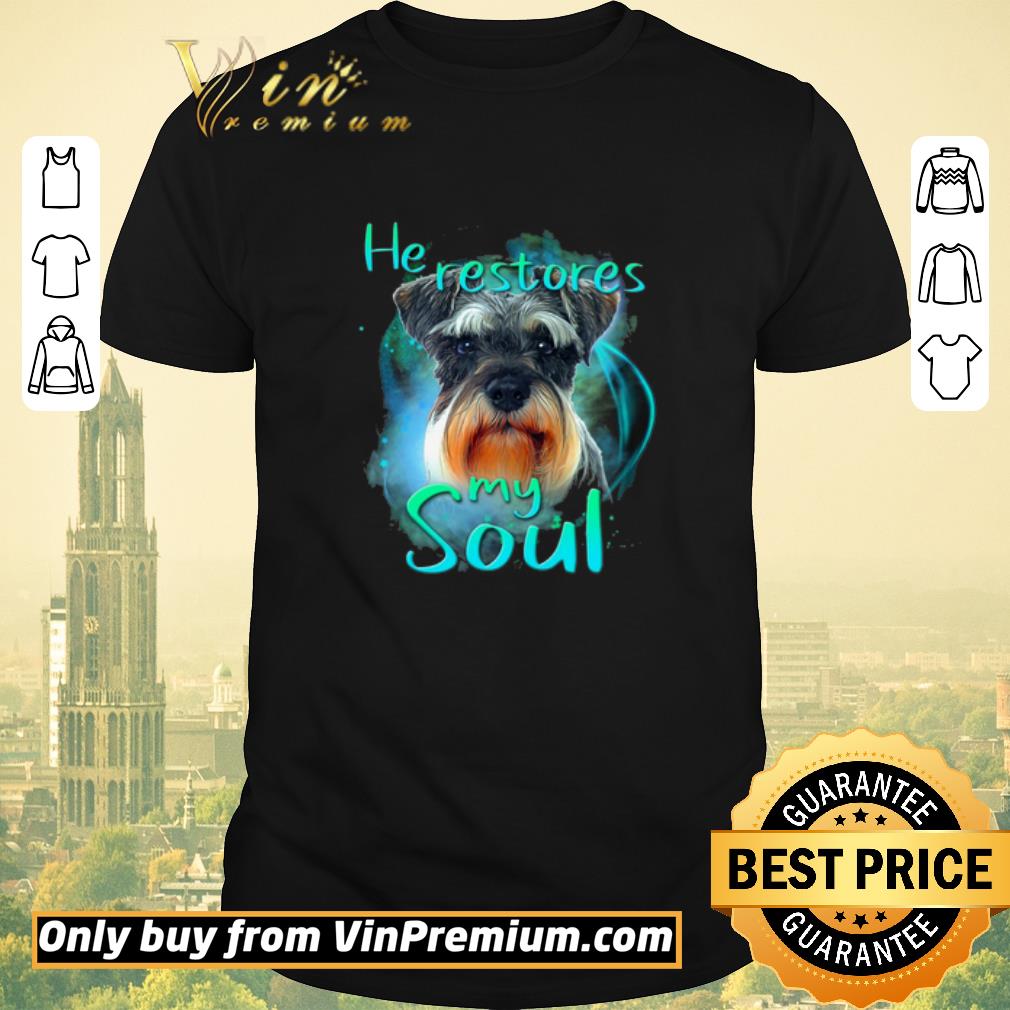Official Schnauzer He Restores My Soul shirt sweater