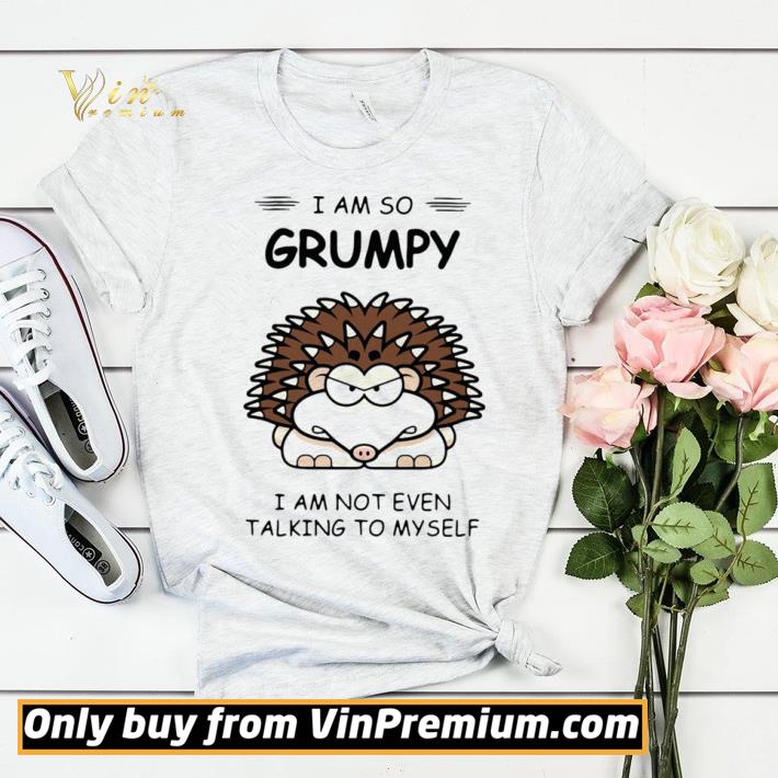 556b1495 official hedgehog i am so grumpy i am not even talking to myself shirt sweater 4 - Official Hedgehog I Am So Grumpy I Am Not Even Talking To Myself shirt sweater