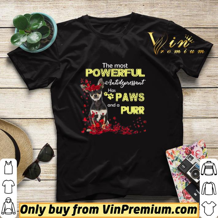 7286f23b the most powerful antidepressant has paws and a purr dog shirt sweater 4 - The Most Powerful Antidepressant Has Paws And A Purr Dog shirt sweater