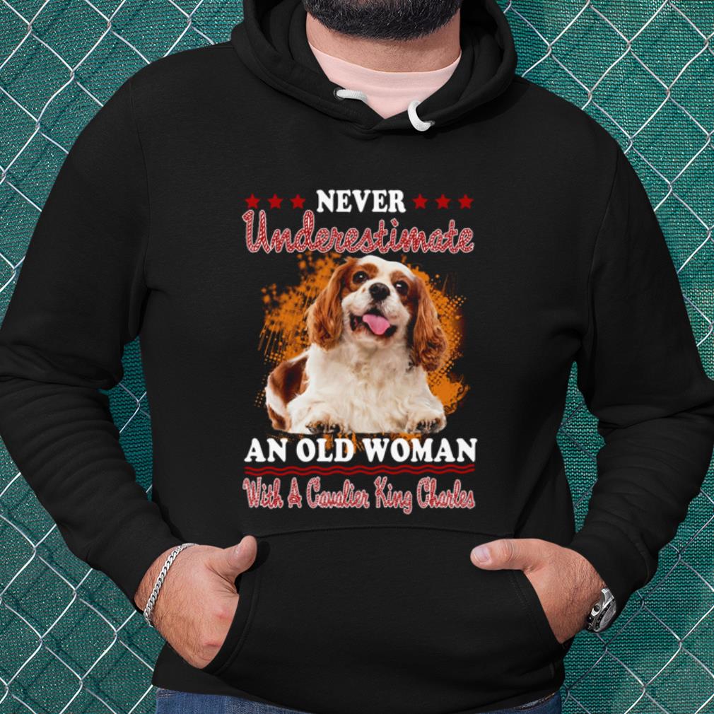 dd48348f nice never underestimate an old woman with a cavalier king charles shirt 4 - Nice Never Underestimate An Old Woman With A Cavalier King Charles shirt
