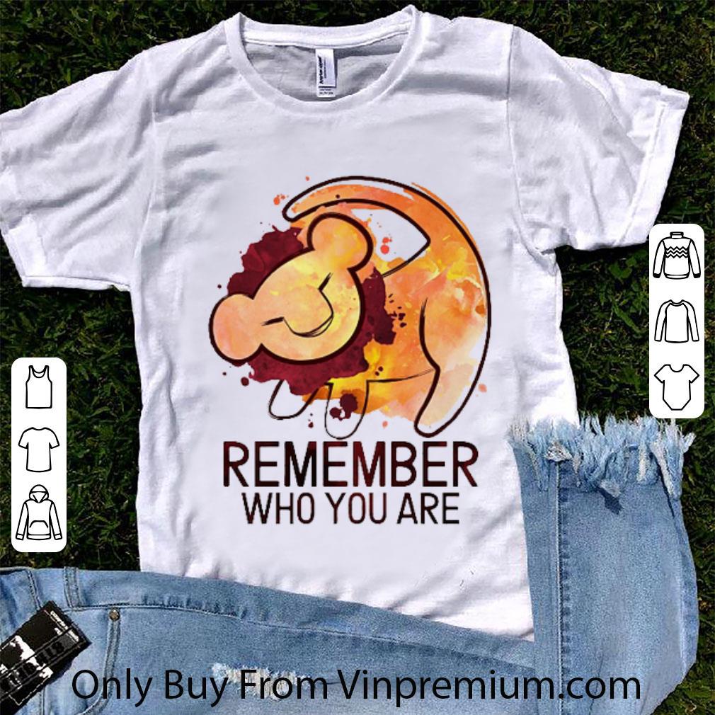 Great The Lion King Remember Who You Are shirt