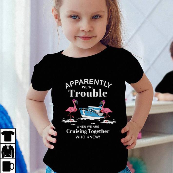 Apparently we re trouble when we are cruising together flamingos shirt sweater 4 - Apparently we're trouble when we are cruising together flamingos shirt sweater