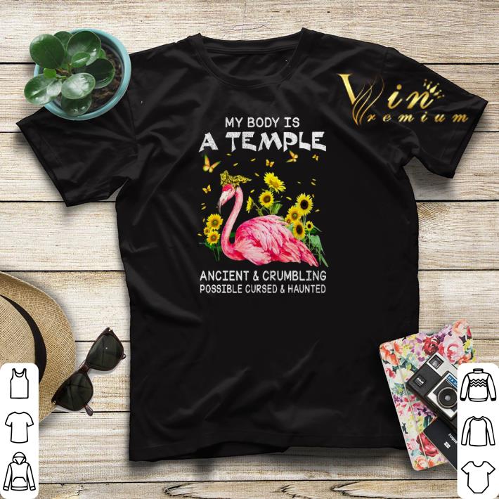 Flamingo my body is a temple ancient & crumbling possible cursed shirt sweater Flamingo my body is a temple ancient crumbling possible cursed shirt sweater 4 - Flamingo my body is a temple ancient & crumbling possible cursed shirt sweater