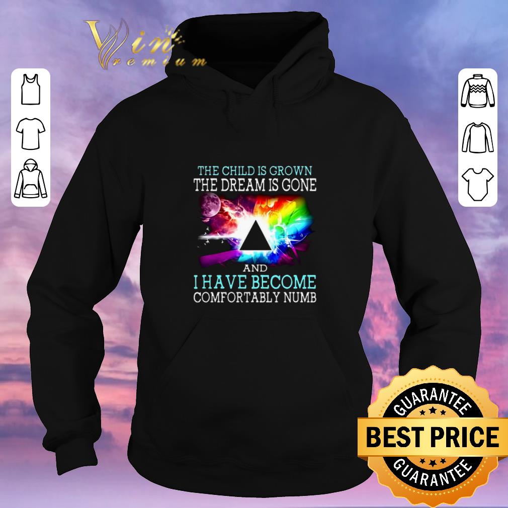 Hot Pink Floyd the child is grown and i have become comfortably numb shirt sweater 4 1 - Hot Pink Floyd the child is grown and i have become comfortably numb shirt sweater