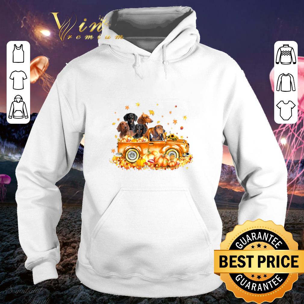Official Dachshunds on autumn pumpkin halloween truck shirt Official Dachshunds on autumn pumpkin halloween truck shirt 4 - Official Dachshunds on autumn pumpkin halloween truck shirt
