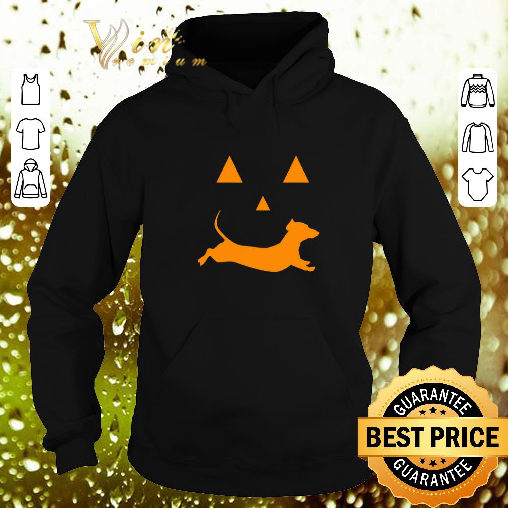 Pretty Halloween Pumpkin Dachshund Jack-o-lantern Costume shirt Pretty Halloween Pumpkin Dachshund Jack o lantern Costume shirt 4 - Pretty Halloween Pumpkin Dachshund Jack-o-lantern Costume shirt