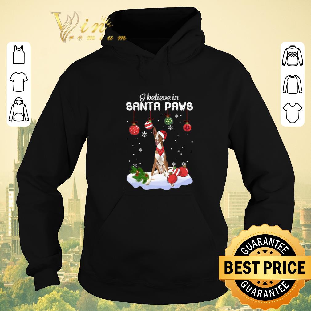 Official Christmas Ibizan Hound i believe in Santa paws shirt 4 - Official Christmas Ibizan Hound i believe in Santa paws shirt