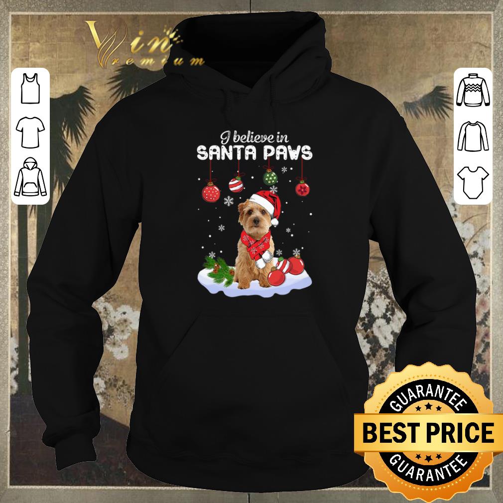 Funny Christmas Norfolk Terrier i believe in Santa paws shirt 4 - Funny Christmas Norfolk Terrier i believe in Santa paws shirt