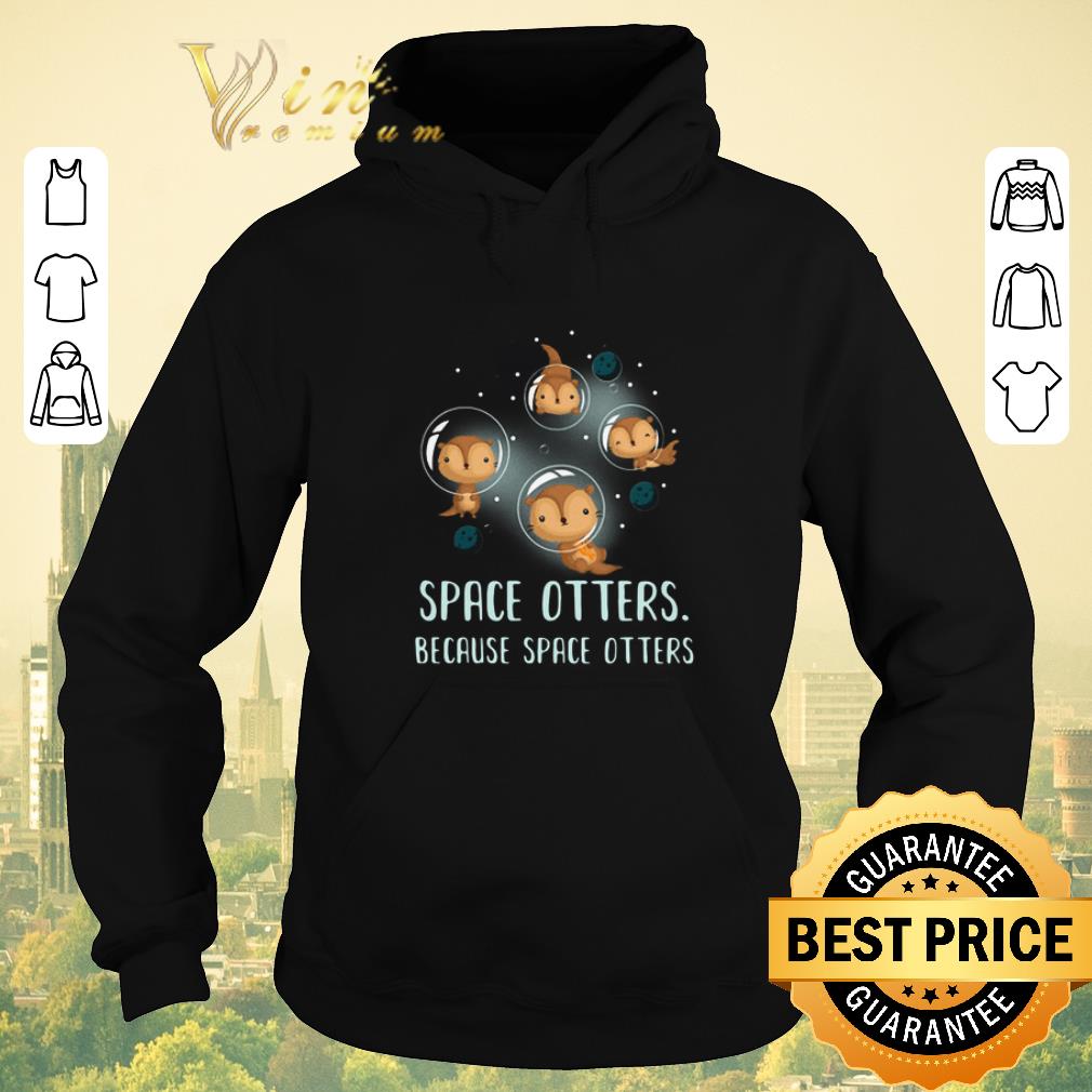 Pretty Space Otters Because Space Otters shirt sweater 4 - Pretty Space Otters Because Space Otters shirt sweater