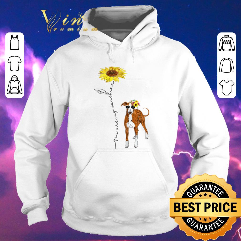 Top Italian Greyhound You Are My Sunshine Sunflower shirt sweater 4 - Top Italian Greyhound You Are My Sunshine Sunflower shirt sweater