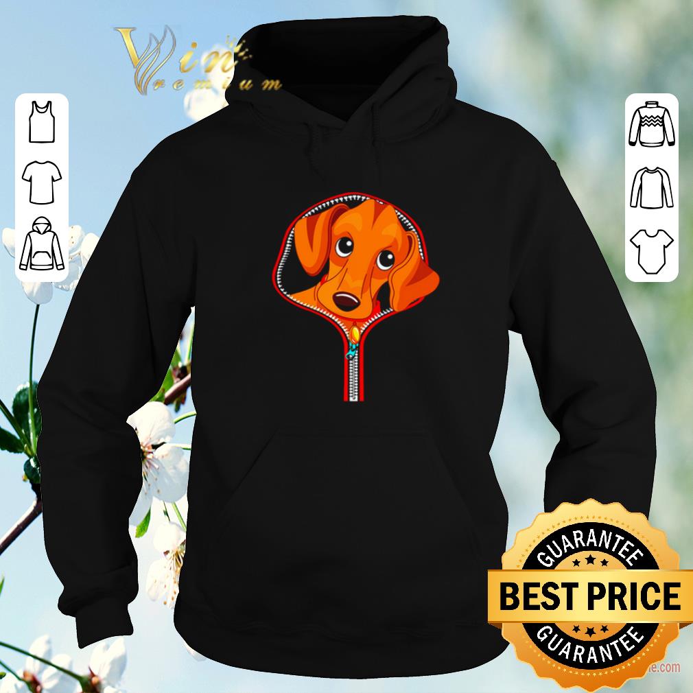 Dachshund out of a zipper shirt sweater 4 1 - Dachshund out of a zipper shirt sweater