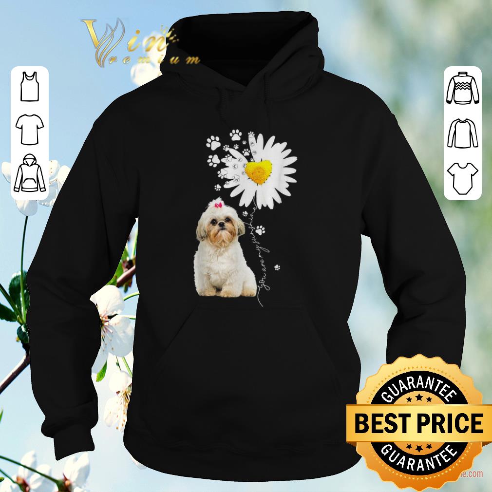 Hot Shih poo you are my sunshine shirt sweater 4 - Hot Shih-poo you are my sunshine shirt sweater