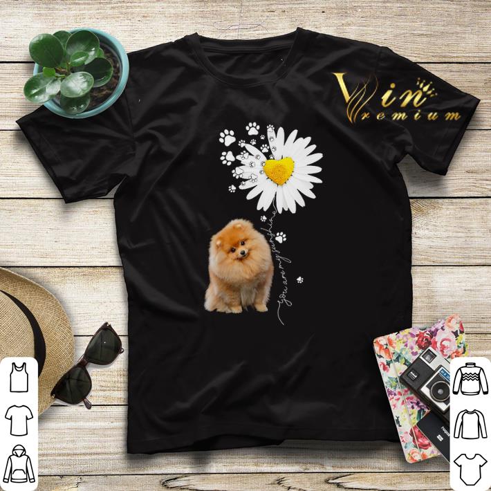 Paw Pomeranian Daisy flower you are my sunshine shirt sweater Paw Pomeranian Daisy flower you are my sunshine shirt sweater 4 - Paw Pomeranian Daisy flower you are my sunshine shirt sweater