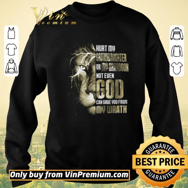 Nice Lion Hurt My Granddaughter Or My Grandson Not Even God shirt sweater