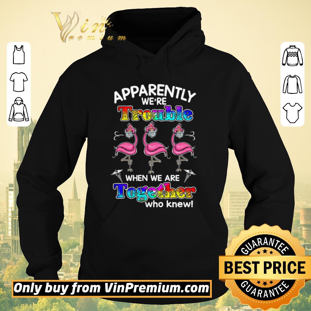 Pretty Flamingo Apparently We re Trouble When We Are Together Who Knew Coronavirus shirt sweater 4 - Pretty Flamingo Apparently We're Trouble When We Are Together Who Knew Coronavirus shirt sweater