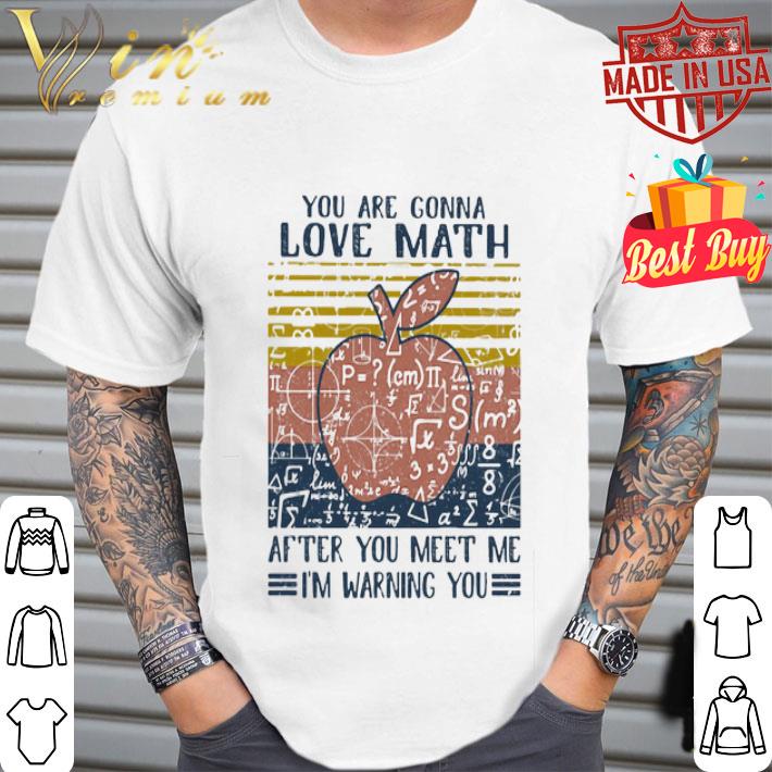 You Are Conna Love Math After You Meet Me I’m Warning You Vintage shirt