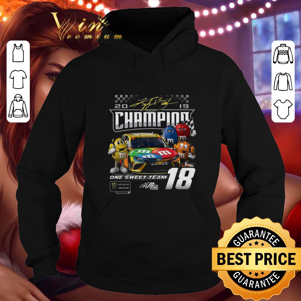 e18a1a1c 2010 champion one sweet team 19 racing shirt 4 - 2010 Champion One Sweet Team 19 Racing shirt