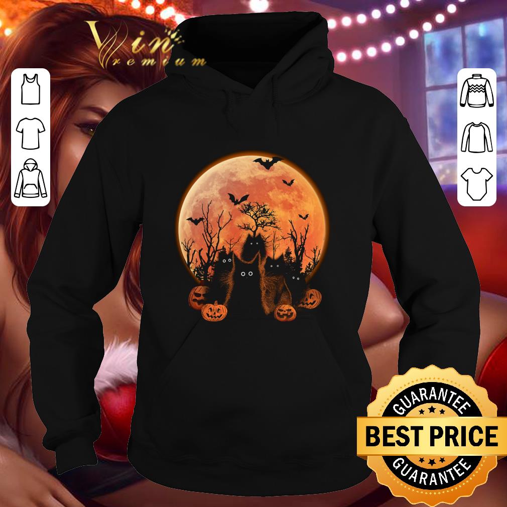 Official Black cats and pumpkins under moon halloween shirt 7cbd557a official black cats and pumpkins under moon halloween shirt 4 - Official Black cats and pumpkins under moon halloween shirt