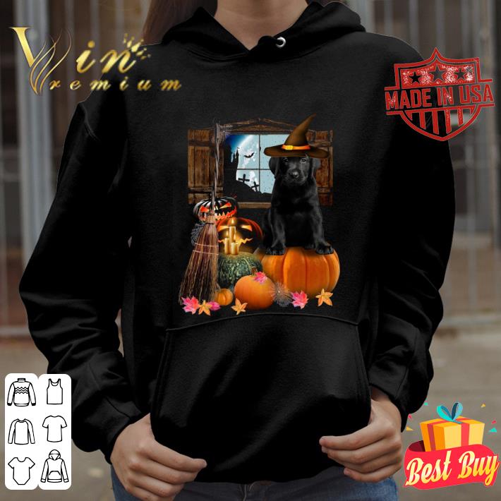 Hot Pumpkin Black Labrador Halloween shirt 28b915a8 hot pumpkin black labrador halloween shirt 4 - Hot Pumpkin Black Labrador Halloween shirt