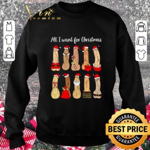 Hot Penis All I Want For Christmas shirt 2