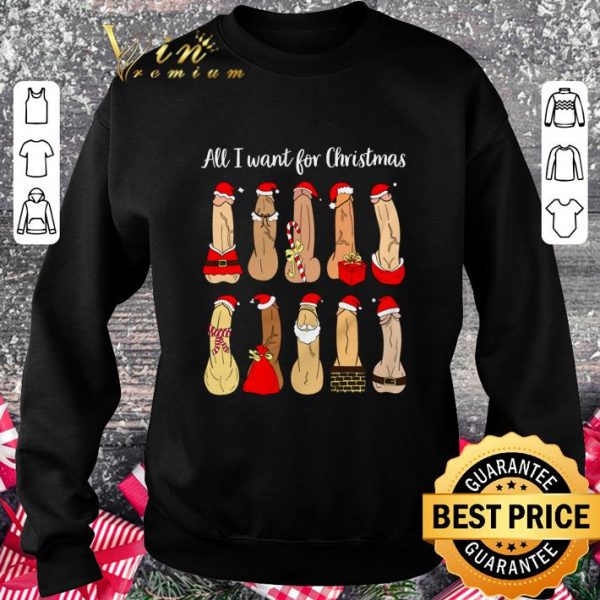Hot Penis All I Want For Christmas shirt