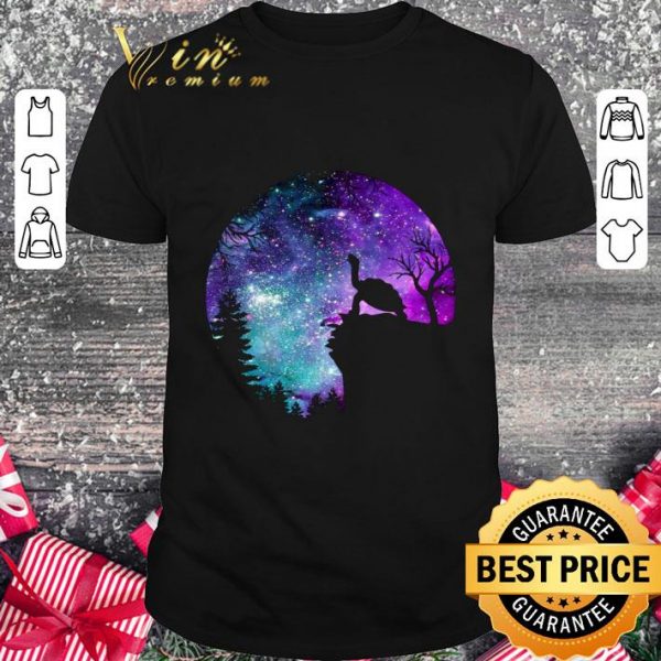 Official Turtle Magic Night shirt