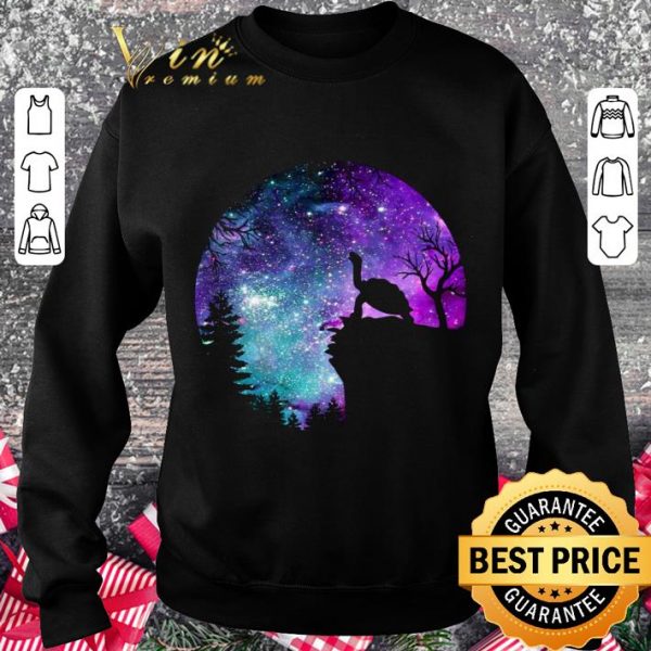 Official Turtle Magic Night shirt