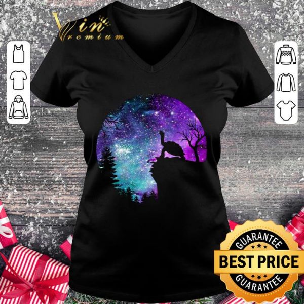 Official Turtle Magic Night shirt