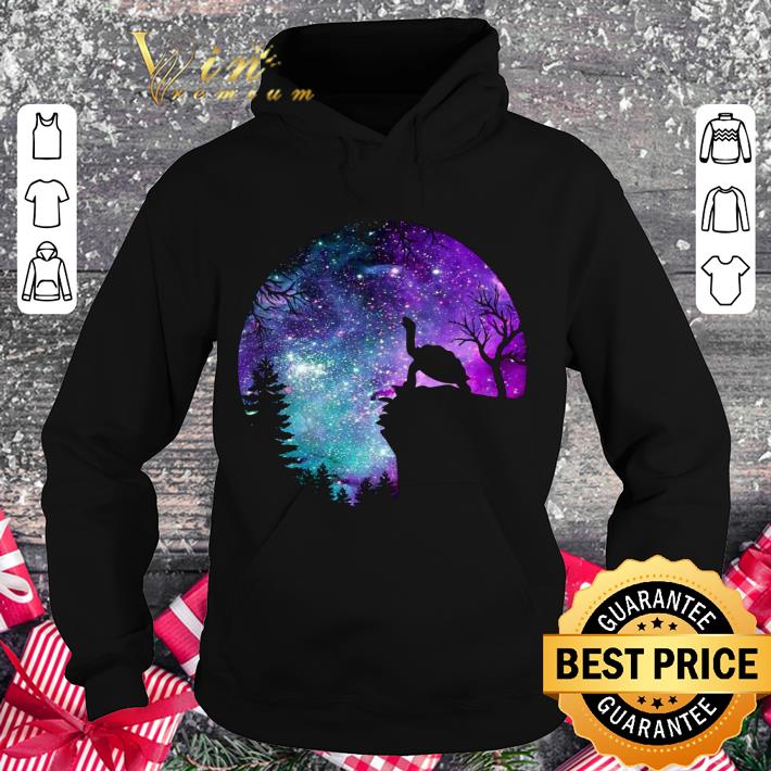 Official Turtle Magic Night shirt c0b52ca8 official turtle magic night shirt 4 - Official Turtle Magic Night shirt